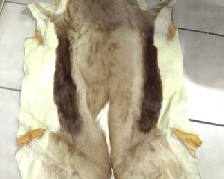 Animal hide