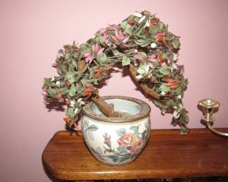 Jade tree