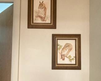 Pair of Framed Owl Prints