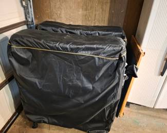 Two Roll Away Beds
