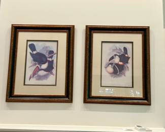 Matching Framed Puffin Bird Prints