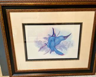 Framed Audubon-Style Bird Print