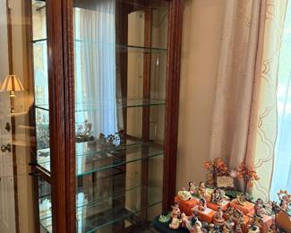 Glass Display Cabinet and Friends of the Feather Collection