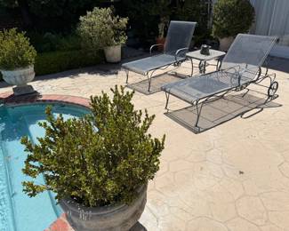 Outdoor Furniture & Outstanding Potted Plants