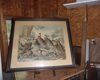 Antique Picture
