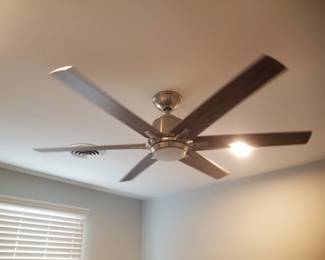 Lighted ceiling fan