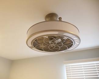 Fan/light fixture - fabulous!