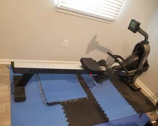 Assault Fitness AirRower Elite