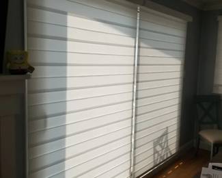 Sliding glass door blinds with remote control