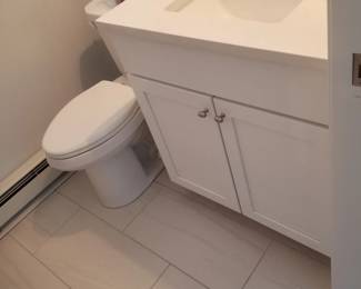 Bath vanity; toilet