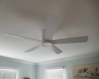Lighted ceiling fan