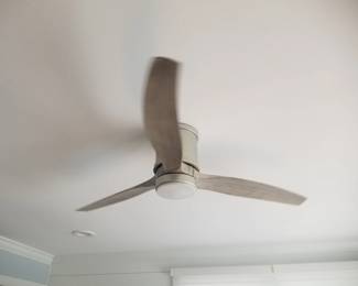 Lighted ceiling fan