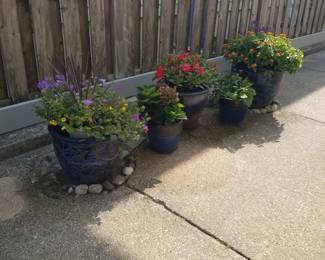 Pots & plants