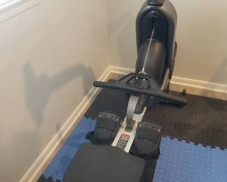 Assault Fitness AirRower Elite