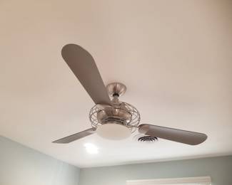 Lighted ceiling fan