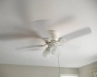 Lighted ceiling fan