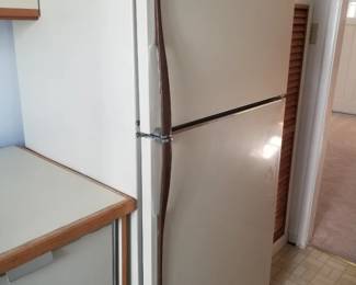 Garage fridge