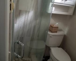 Glass shower door