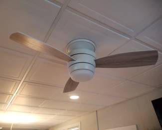 Lighted ceiling fan with remote - two available