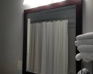 Vanity light; mirror