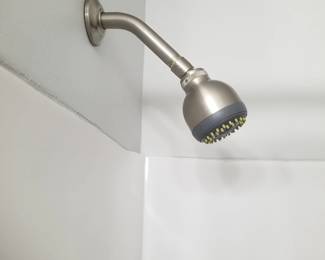 Showerhead