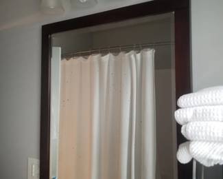Vanity lights; mirror