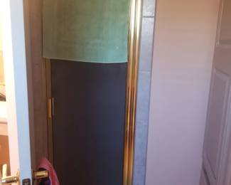 Shower door