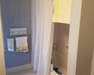 Shower curtain