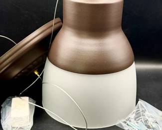 New Battery Operated Hanging Pendant Light With Remote