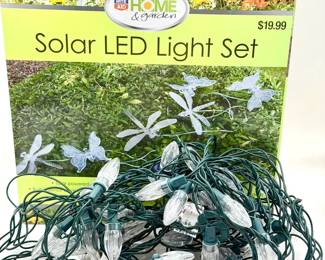 Dragonfly Solar LED Lights & 12’ Long Powered Lights