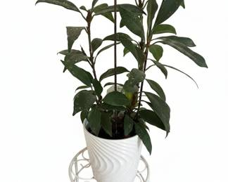 White Swirl Ceramic Planter on Metal Scroll Stand fifth image