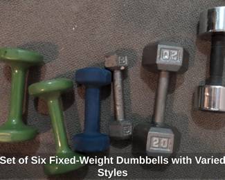 Set of Six FixedWeight Dumbbells with Varied Styles