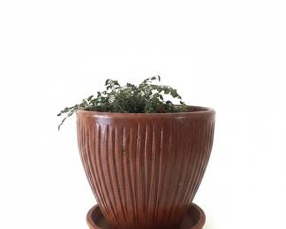 Brown Glazed Ceramic Ribbed Planter with Saucer second image