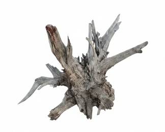 XXL Bog Aged Resinous Tree Stump