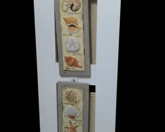 Coastal Seashell Specimen Wall Art Plaque Set