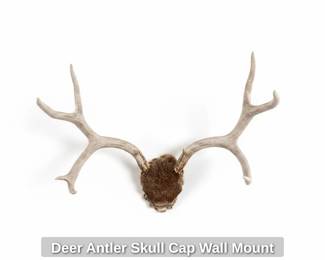 Deer Antler Skull Cap Wall Mount second image