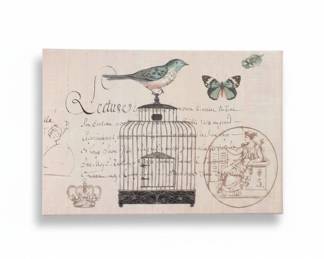 Vintage French Birdcage and Butterfly Canvas Print