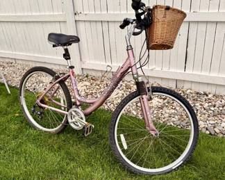 Diamondback women's comfort bicycle with front suspension, multi-speed drivetrain, comfort seat, and wicker basket.