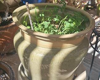 Large Celadon Glazed Ceramic Garden Planter with Decorative Band