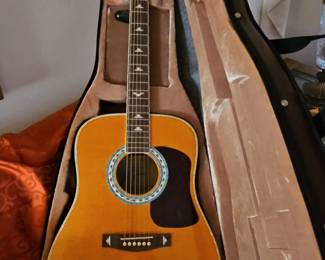 Esteban American Legacy Turquoise Limited Edition Acoustic Guitar