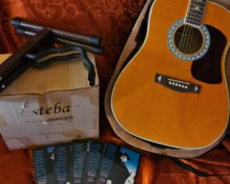 Esteban American Legacy Turquoise Limited Edition Acoustic Guitar
