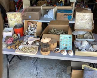 Sea shells galore