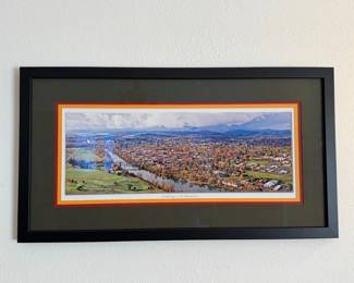 Professionally framed aerial panoramic photograph in autumn colors, triple-matted in olive, gold, and crimson.Frame job alone was $350. Selling for $100.