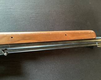 Rifle No. 4- Sheridan Products Blue Steak 5mil Pellet