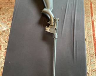 Rifle No. 3- AR 7 Explorer .22 LR