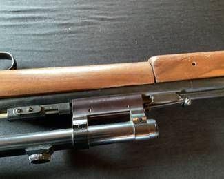 Rifle No. 4- Sheridan Products Blue Steak 5mil Pellet