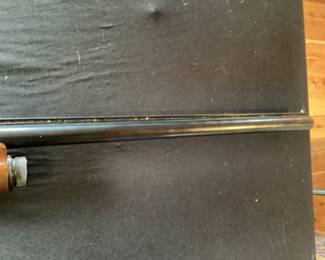 Rifle No. 17- Franchi_Brescia Hunter 20 Gauge