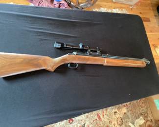 Rifle No. 4- Sheridan Products Blue Steak 5mil Pellet