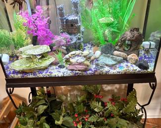 Complete fish tank with live fish