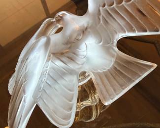 WOW! DOVES IN LOVE!